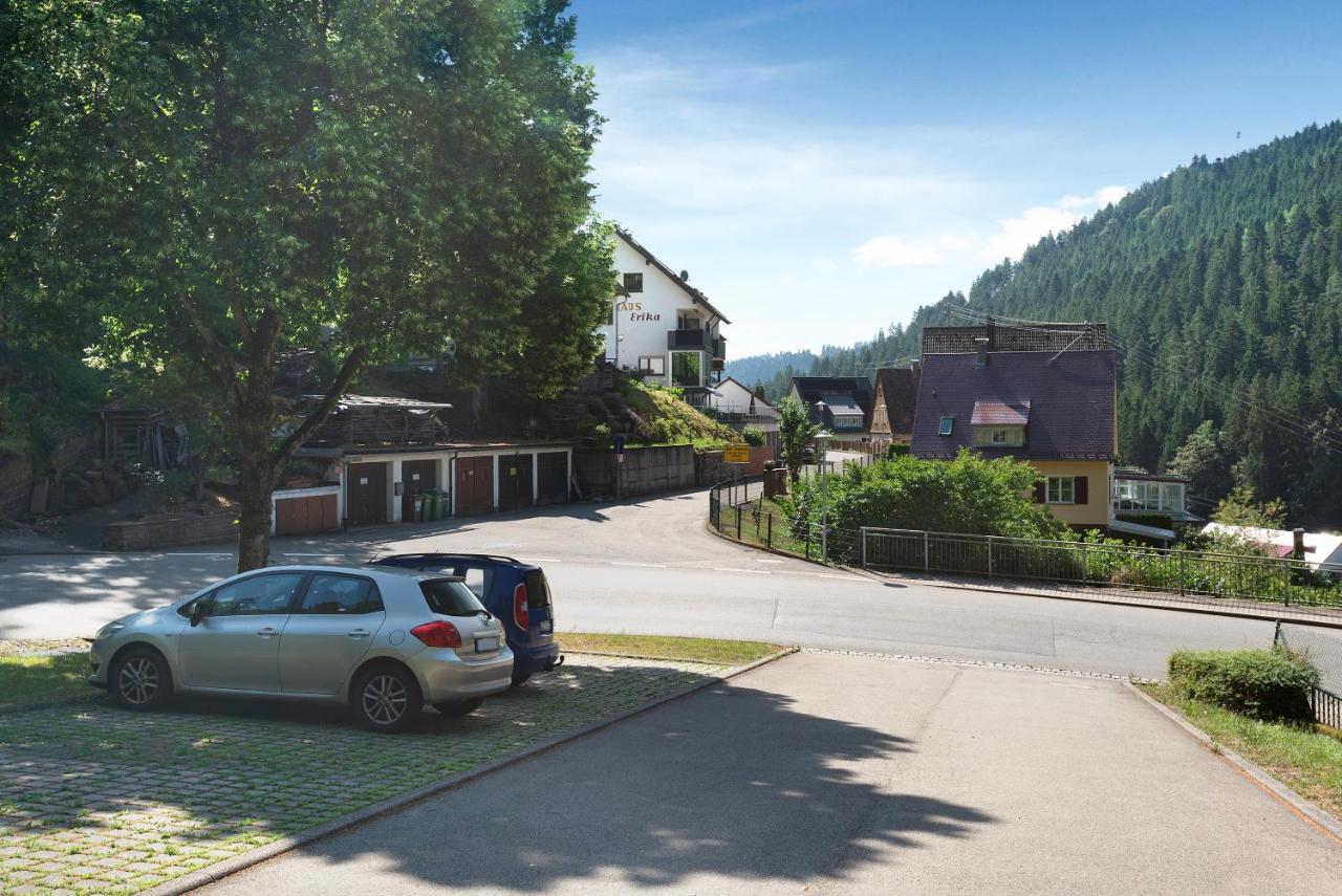 Haus Erika Ferienwohnung 2 Bad Teinach-Zavelstein Dış mekan fotoğraf